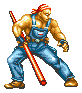 Fatal Fury